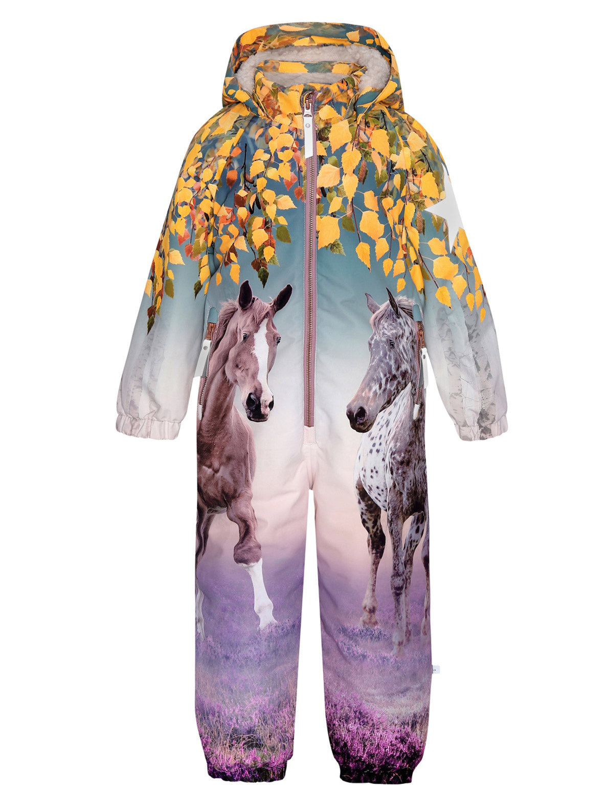 Molo baby's snowsuit-Dreamy Forest 5W24N202